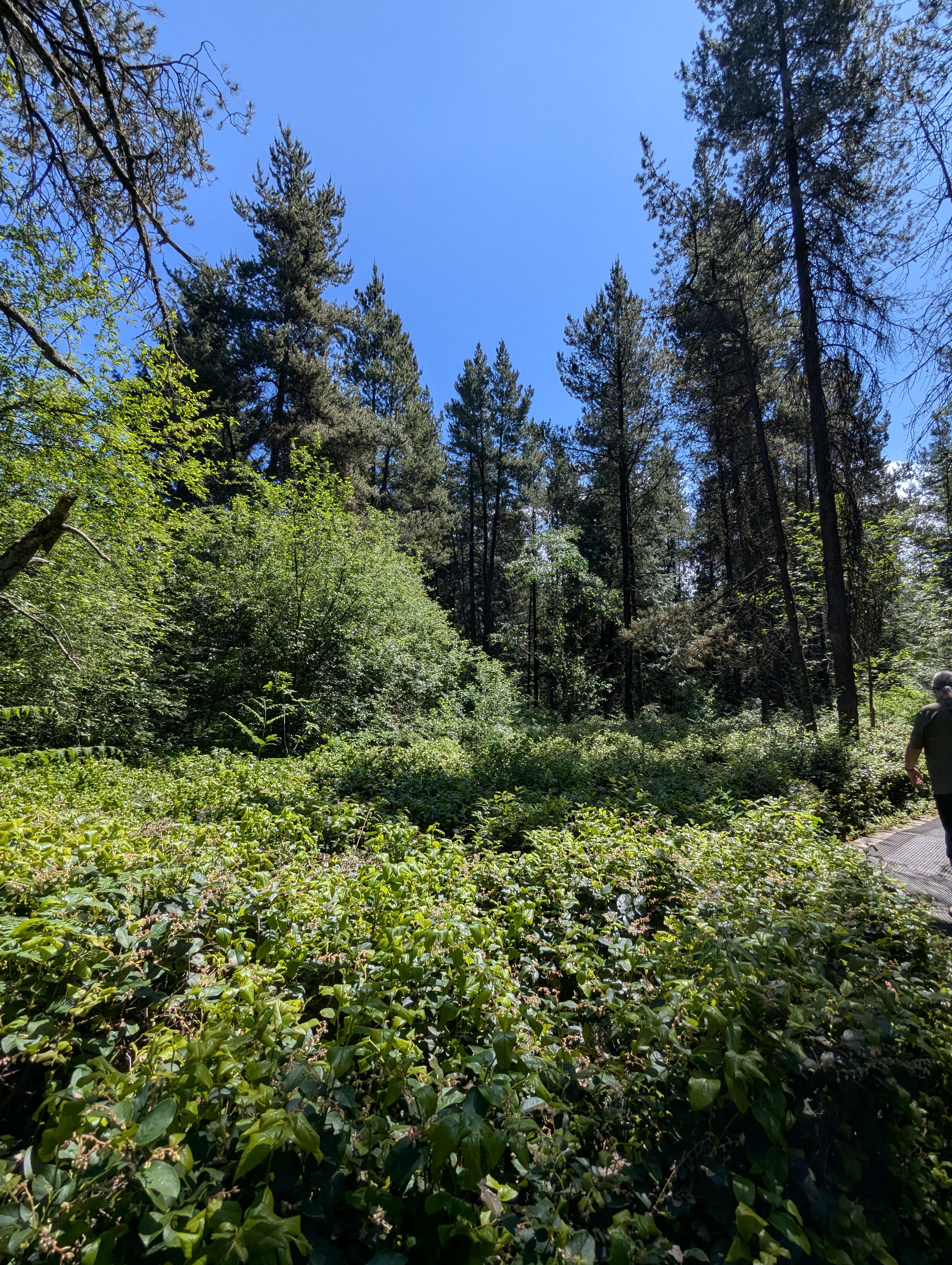 Birthday Trip to Canada, Delta, Burns Bog, Vancouver, British Columbia